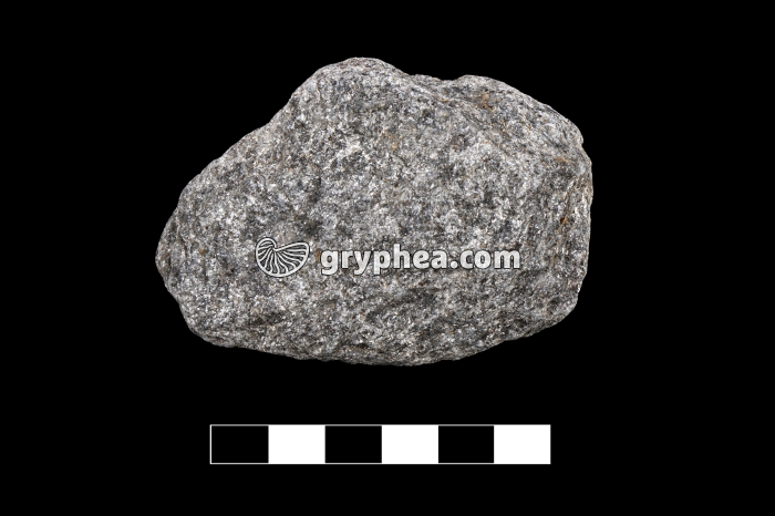 Micaschiste - échantillon - gryphea.org